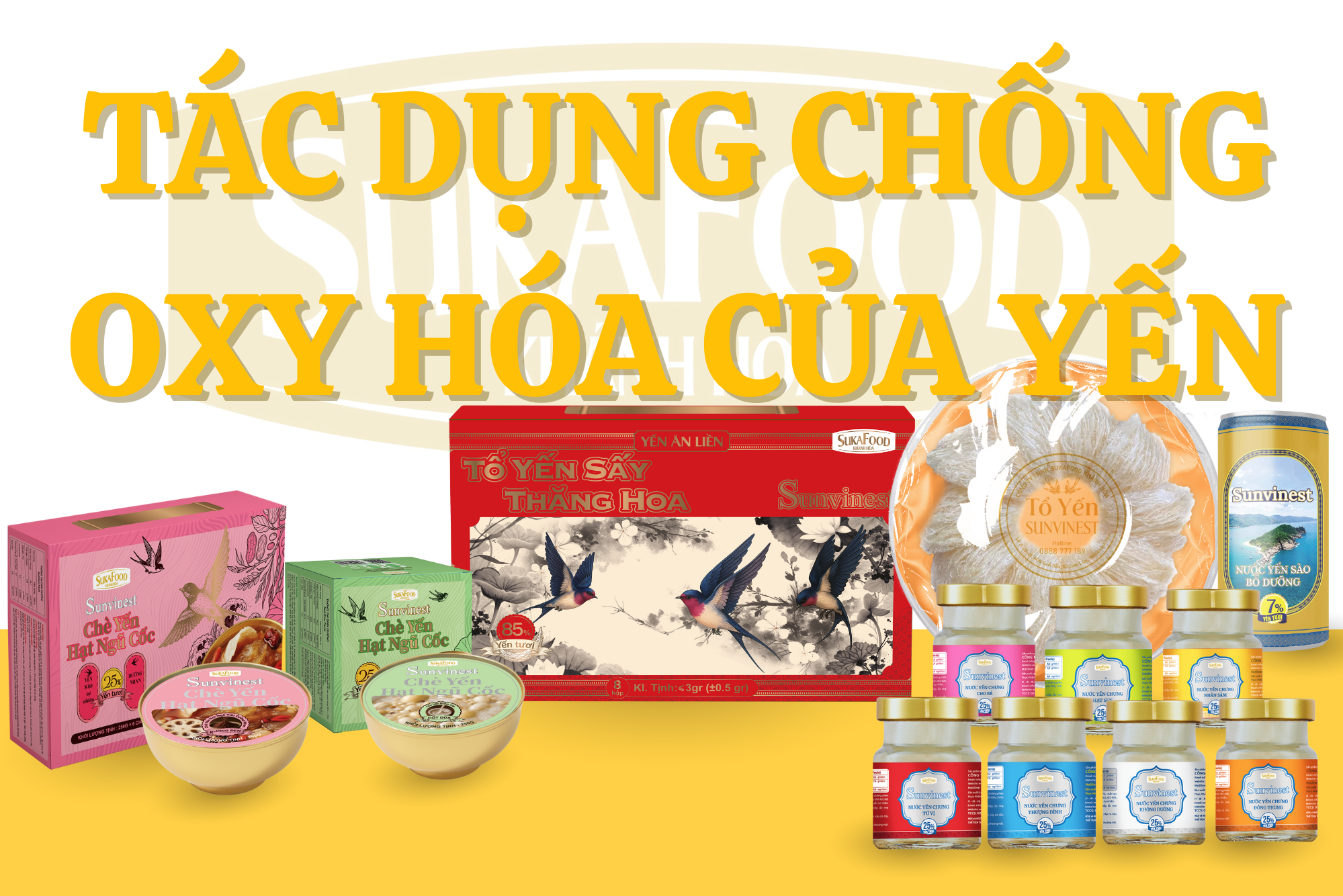 Tác Dụng Chống Oxy Hóa Của Yến Sào
