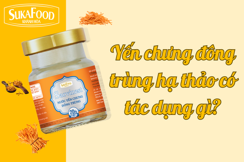 Yến chưng đông trùng hạ thảo có tác dụng gì?