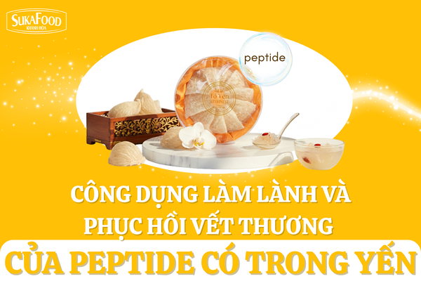 CÔNG DỤNG LÀM LÀNH VÀ PHỤC HỒI VẾT THƯƠNG CỦA PEPTIDE CÓ TRONG YẾN