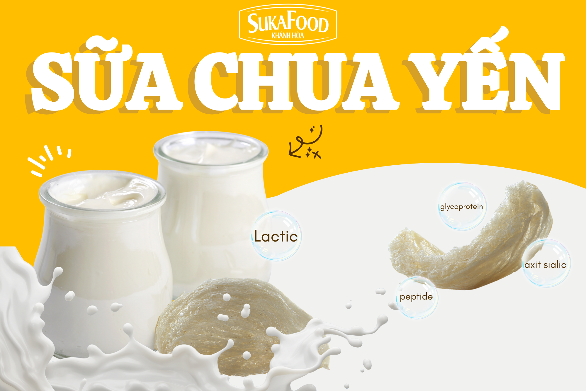 SỮA CHUA YẾN: THỰC PHẨM CHỨC NĂNG GIÀU DINH DƯỠNG TỪ GÓC NHÌN KHOA HỌC