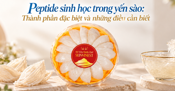 Peptide sinh học trong yến sào: Thành phần đặc biệt và những điều cần biết