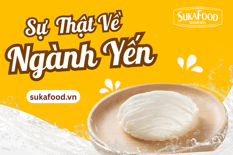 Tổng Quan Về Ngành Yến: Sự Thật Ít Ai Biết