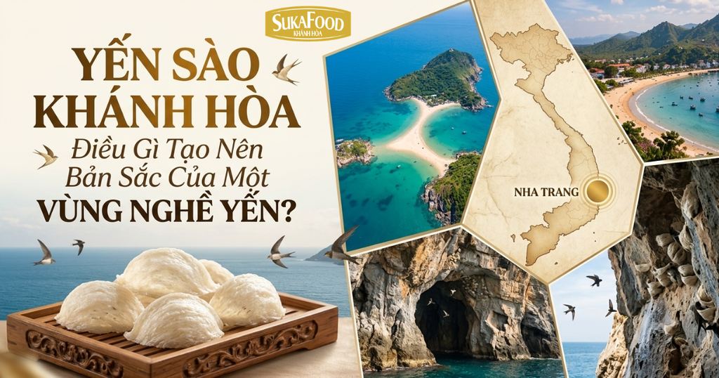Yến Sào Khánh Hòa: Điều Gì Tạo Nên Bản Sắc Của Một Vùng Nghề Yến?