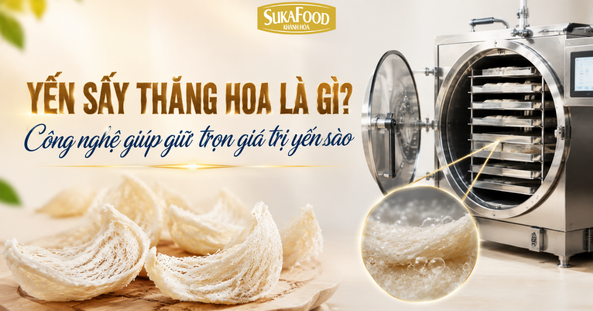 Yến Sấy Thăng Hoa Là Gì? Công Nghệ Giúp Giữ Trọn Giá Trị Của Yến Sào