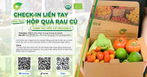 [Sự kiện tháng 10] Organica Hạ Long: Check-in nhận quà rau củ hữu cơ tươi ngon