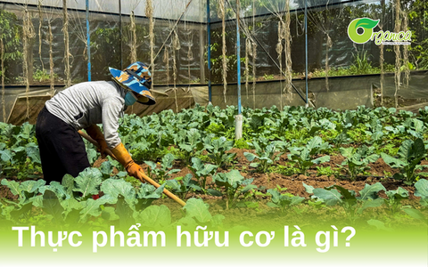 Thực phẩm hữu cơ (Organic) là gì? Sự lựa chọn đáng tin cậy cho sức khỏe