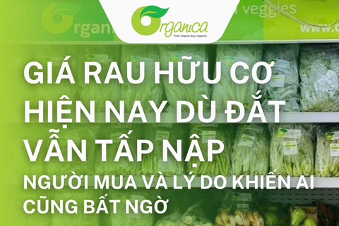 Giá rau hữu cơ hiện nay dù đắt vẫn tấp nập người mua và lý do khiến ai cũng bất ngờ