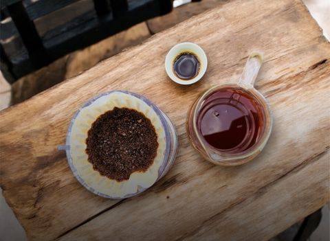 Exploring the Coffee Growing Process: From Seed to Cup