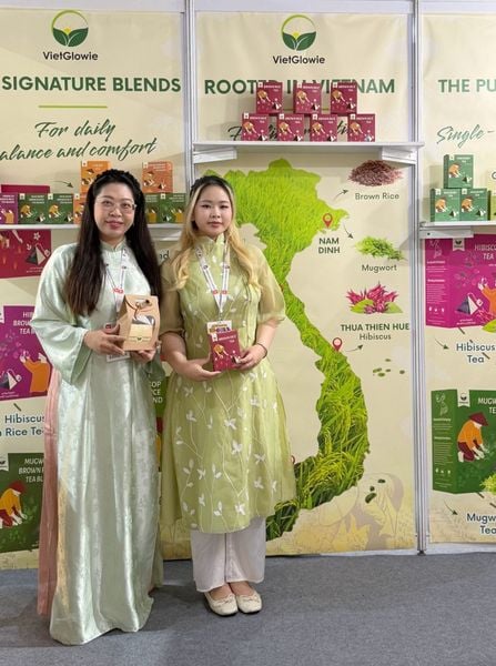 Hình ảnh bài viết