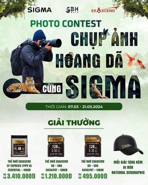 Minigame Chụp Ảnh Động Vật Hoang Dã Cùng Sigma