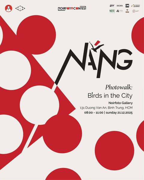 Photowalk “Birds in the City” – Sự kiện vệ tinh của triển lãm “NẮNG” - Noirfotocontest 2025