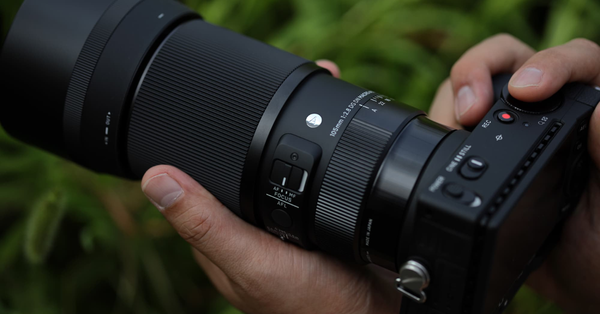 Ống kính Sigma 105mm F2.8 DG DN Macro Art: Hướng dẫn chụp macro chuyên sâu