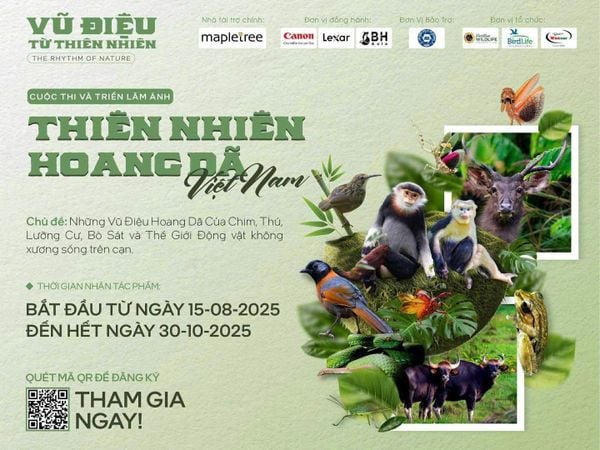 BH Asia đồng hành cùng Cuộc thi & Triển lãm Ảnh “Thiên Nhiên Hoang Dã Việt Nam 2025”