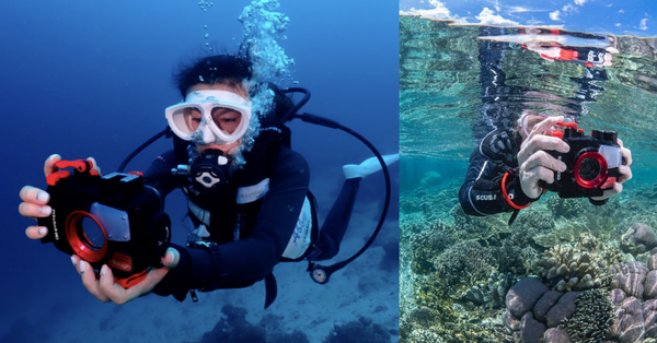 Checklist thiết bị lặn biển: Tại sao TG-7 là món đồ không thể thiếu?