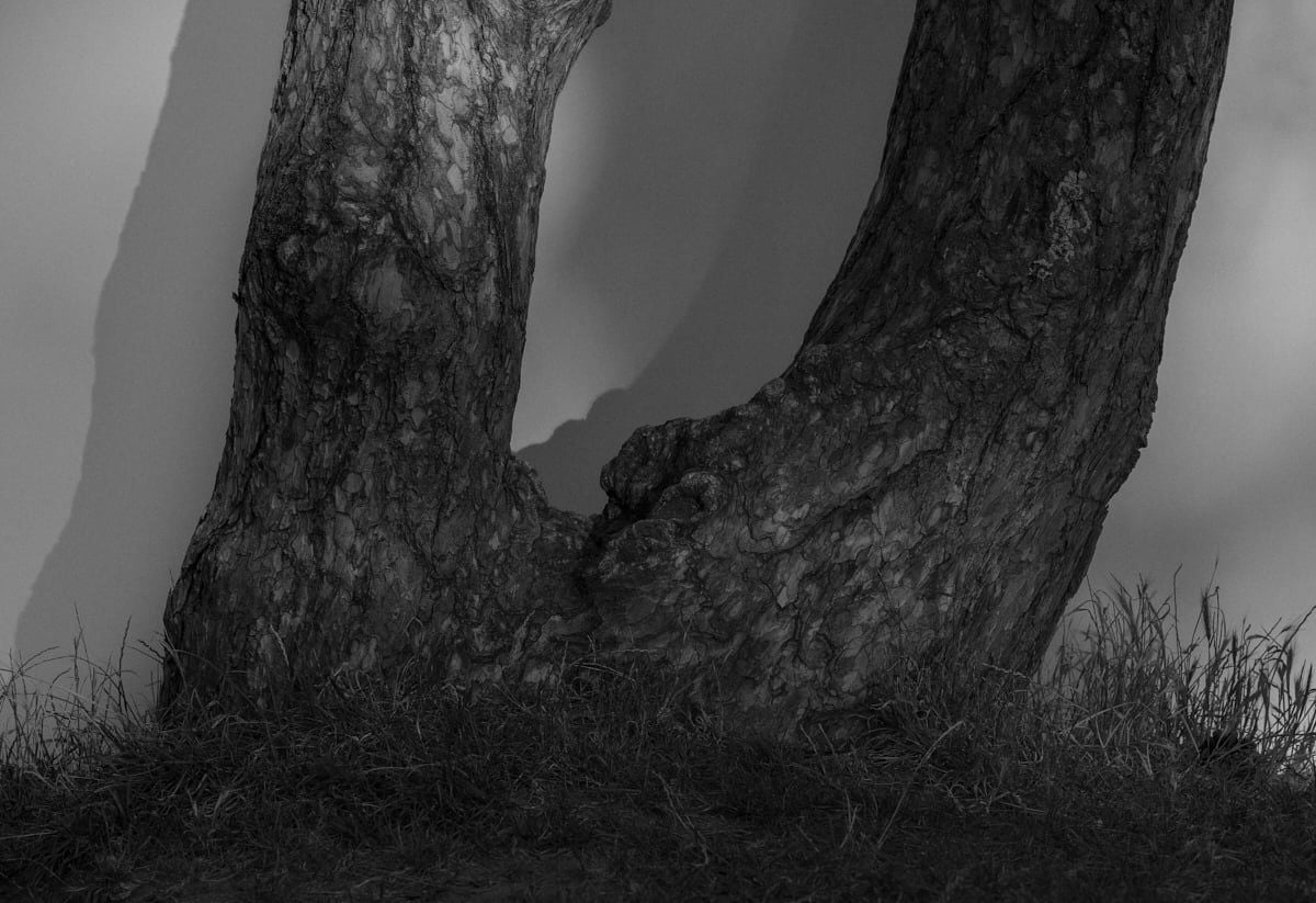 Sigma FP2