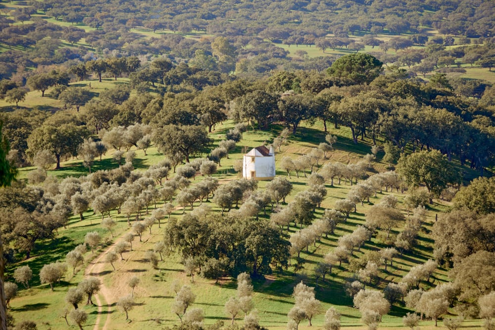 ong-kinh-sigma-16-300mm-f35-67-3