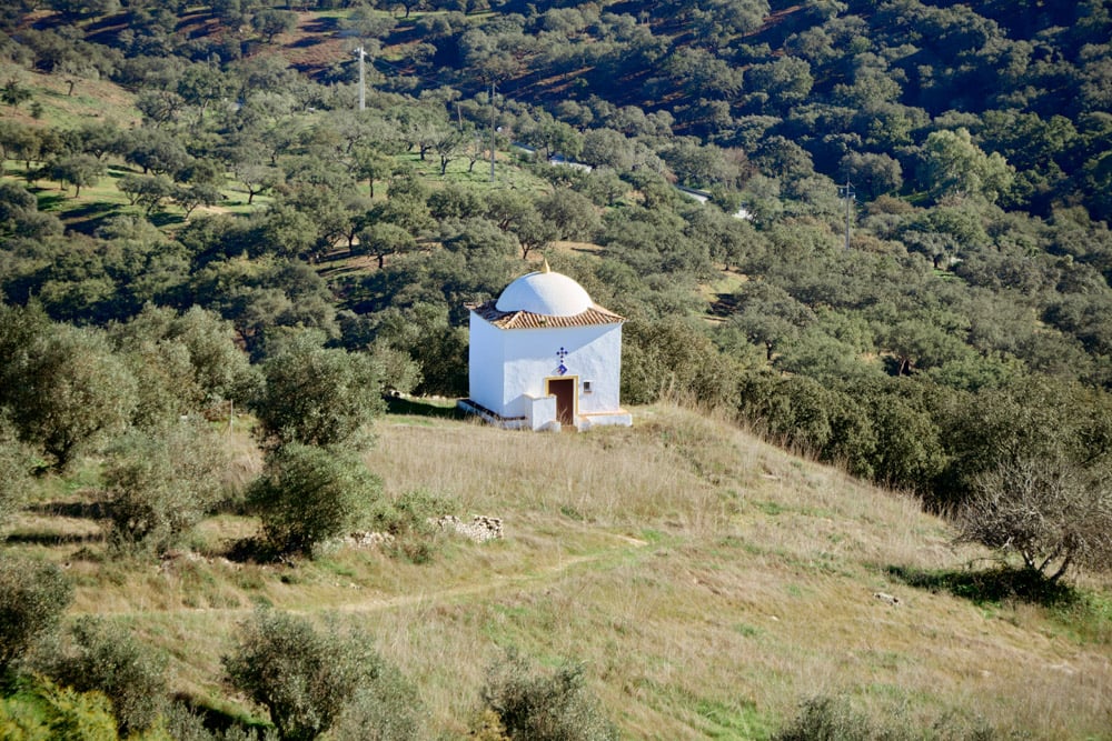 ong-kinh-sigma-16-300mm-f35-67-4