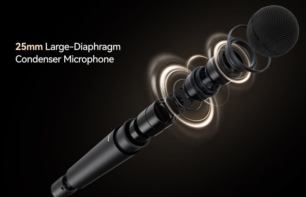 Hollyland MELO P1 Dynamic Handheld Microphone
