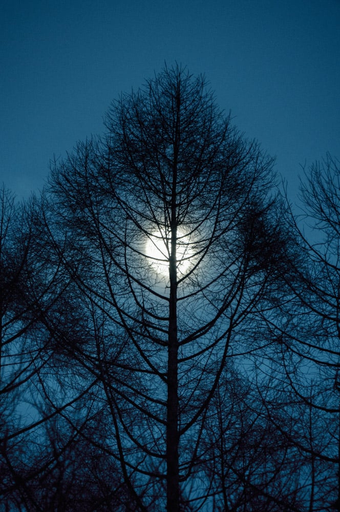 ong-kinh-sigma-16-300mm-f35-67-9