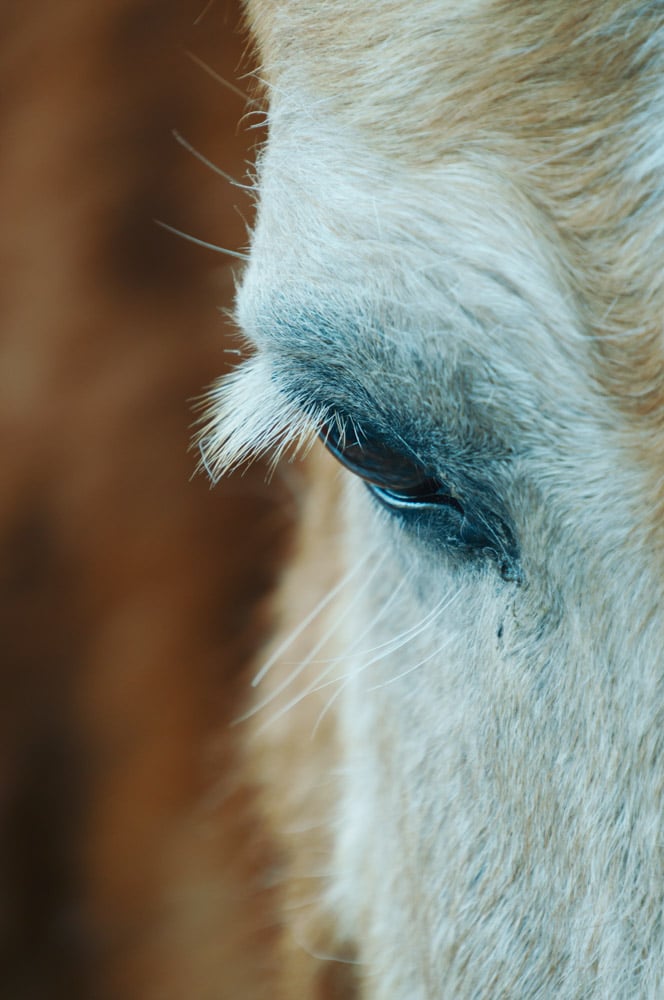 ong-kinh-sigma-16-300mm-f35-67-10