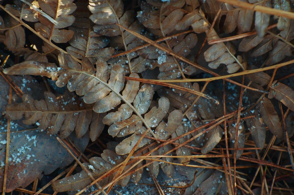 ong-kinh-sigma-16-300mm-f35-67-11