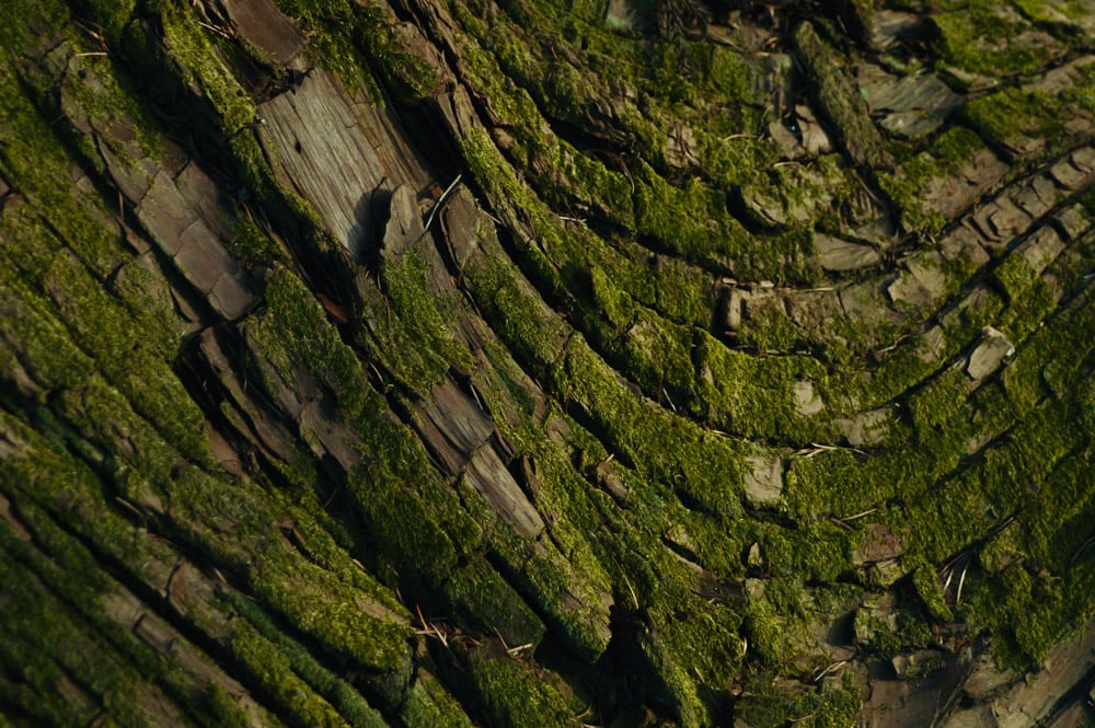 ong-kinh-sigma-16-300mm-f35-67-13