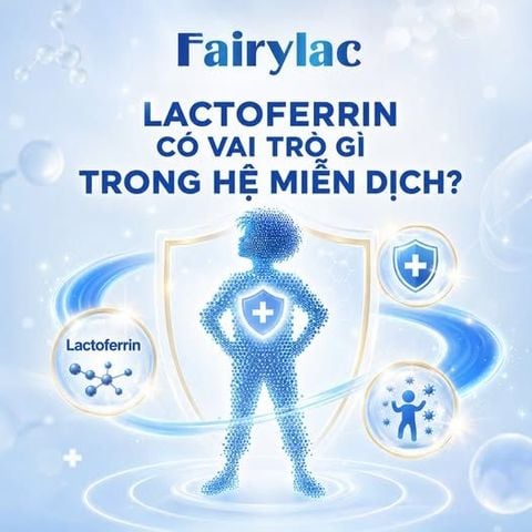LACTOFERRIN CÓ VAI TRÒ GÌ TRONG HỆ MIỄN DỊCH?