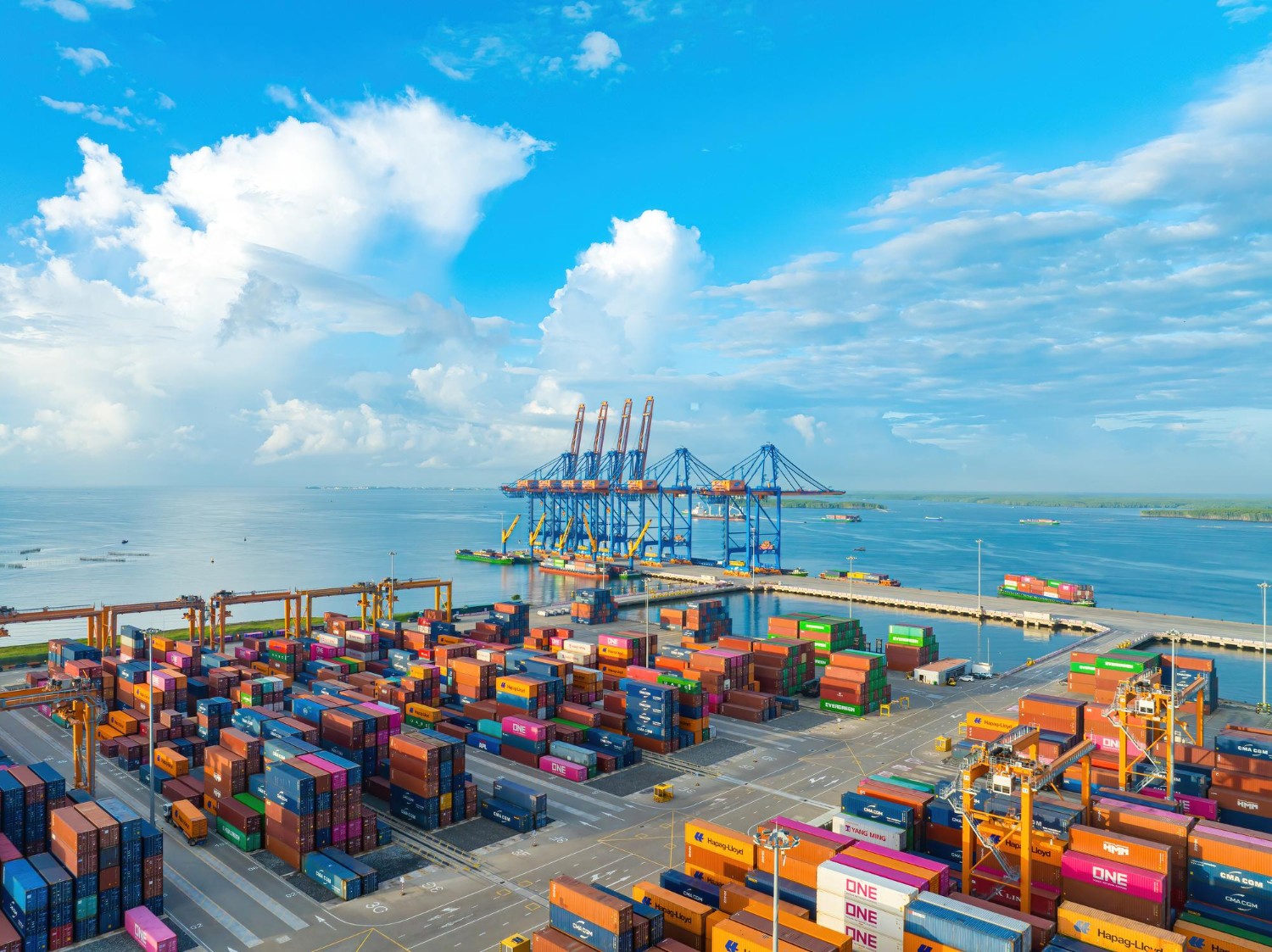 Cước container chạm “đáy mới”? Có nên tái thương lượng hợp đồng 2026 ngay bây giờ?