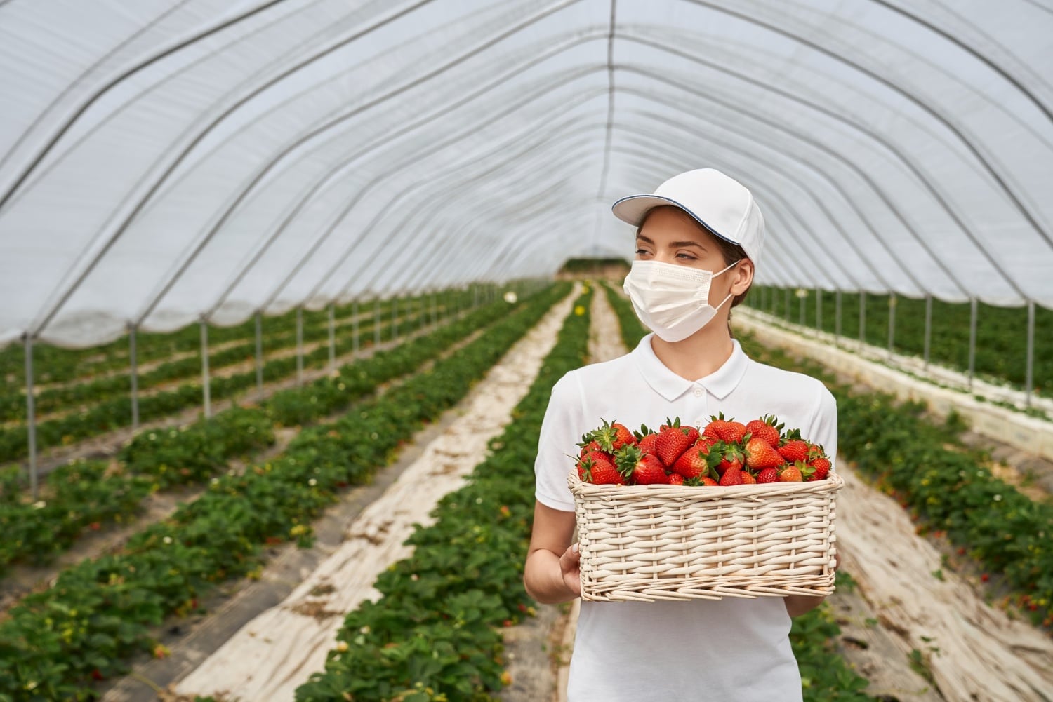 Chuỗi lạnh nông sản: giữ được nhiệt độ là giữ được giá trị