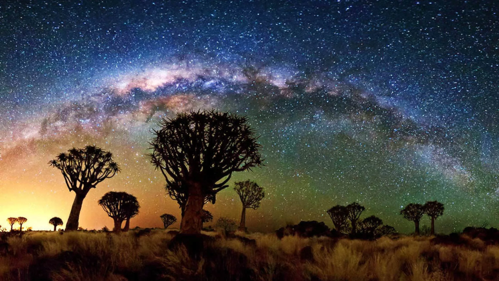 RỪNG CÂY RUNG ĐỘNG (Quiver Tree Forest) – TUYỆT TÁC SIÊU THỰC GIỮA SA MẠC NAMIBIA