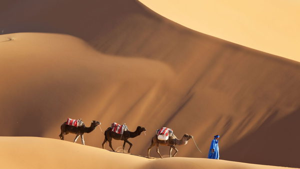 NGÀY 8: MERZOUGA – ERFOUD – TINGHIR – TODRA GORGE – OUARZAZATE (Ăn Sáng, Trưa, Tối)