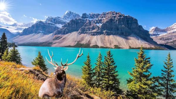 Vườn Quốc Gia Banff – Viên Ngọc Bất Tử Của Dãy Rocky, Nơi Thiên Nhiên Canada Đẹp Như Một Bộ Phim Điện Ảnh