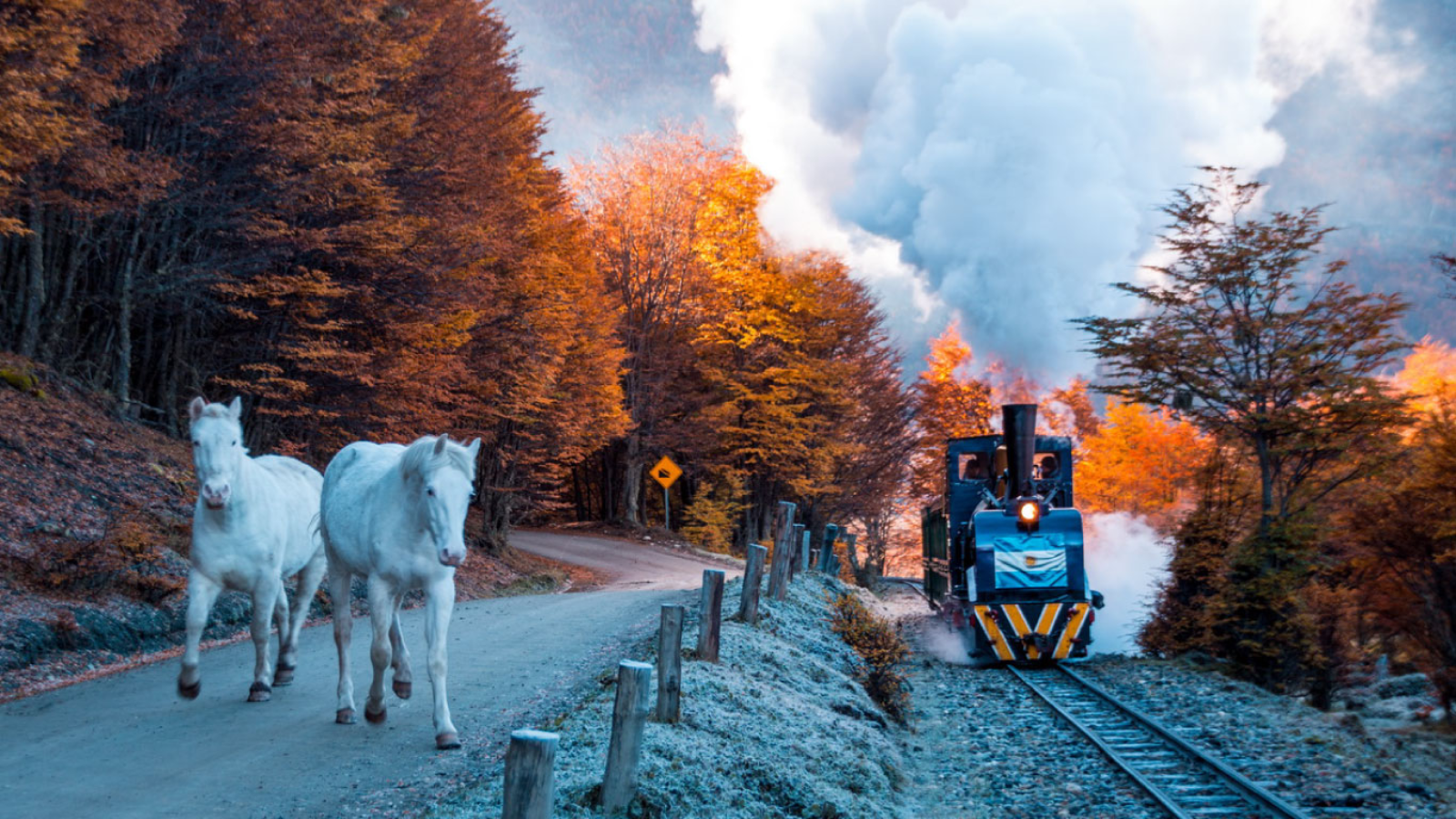 NGÀY 04: USHUAIA – CÔNG VIÊN QUỐC GIA TIERA DEL FUEGO – LÊN TÀU LÊN TÀU THÁM HIỂM OCEAN ALBATROS – KHÁM PHÁ NAM CỰC (ăn sáng, trưa, tối)