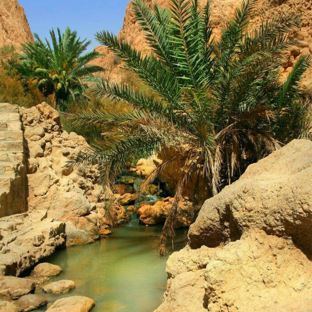 NGÀY 12: TOZEUR-CHEBIKA-TAMERZA-MIDES-ONG JEMEL-TOZEUR