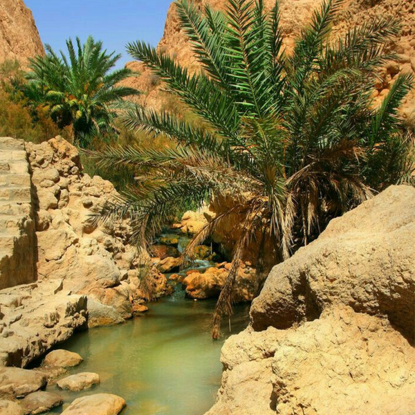 NGÀY 12: TOZEUR-CHEBIKA-TAMERZA-MIDES-ONG JEMEL-TOZEUR