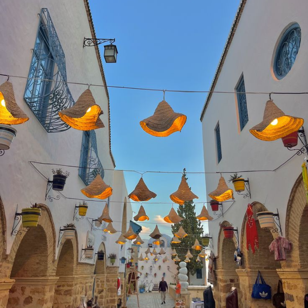 NGÀY 14: HAMMAMET-DEPARTURE FROM TUNIS -CARTHAGE INTERNATIONAL AIRPORT