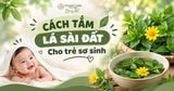 Cách tắm lá sài đất cho trẻ sơ sinh và 7 Lưu ý quan trọng