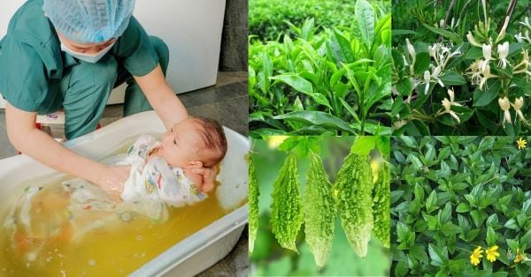 Công Dụng Tắm Thảo Dược Cho Trẻ Sơ Sinh, Gợi Ý Các Lá Tắm Dân Gian Tốt Nhất và Sản Phẩm Tiện Lợi