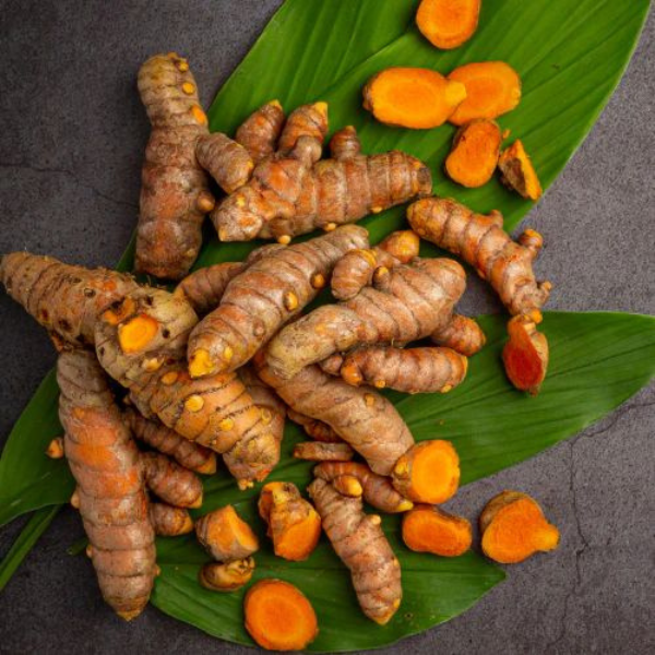 Nghệ