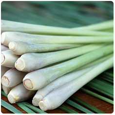 Sả