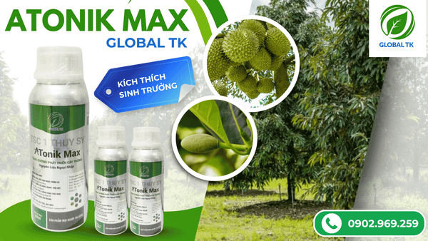 ATONIK MAX Global TK - Tăng Sinh Trưởng, Dưỡng Hoa, Đều Trái