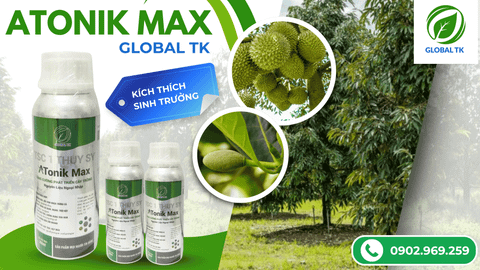 ATONIK MAX Global TK - Tăng Sinh Trưởng, Dưỡng Hoa, Đều Trái