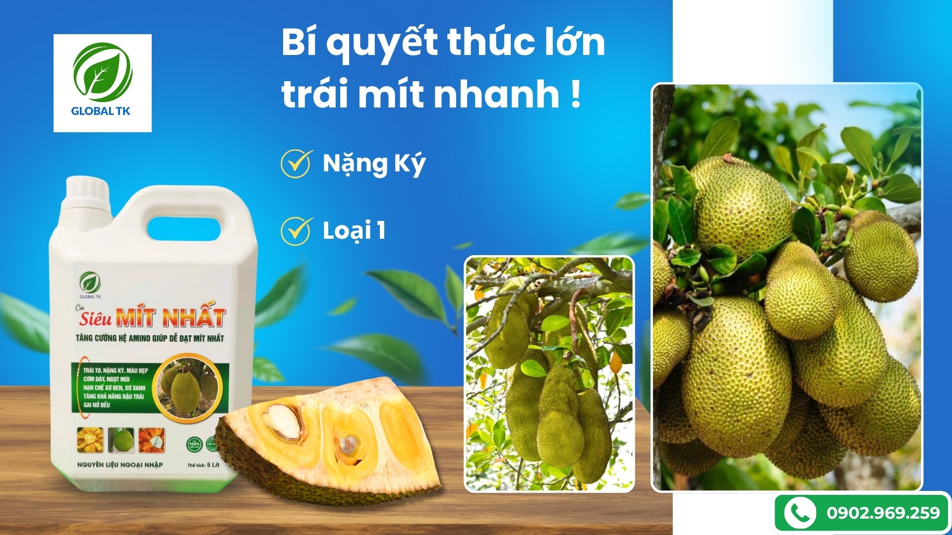 Bí Quyết Thúc Lớn Trái Mít Nhanh, Nặng Ký Và Đạt Loại 1
