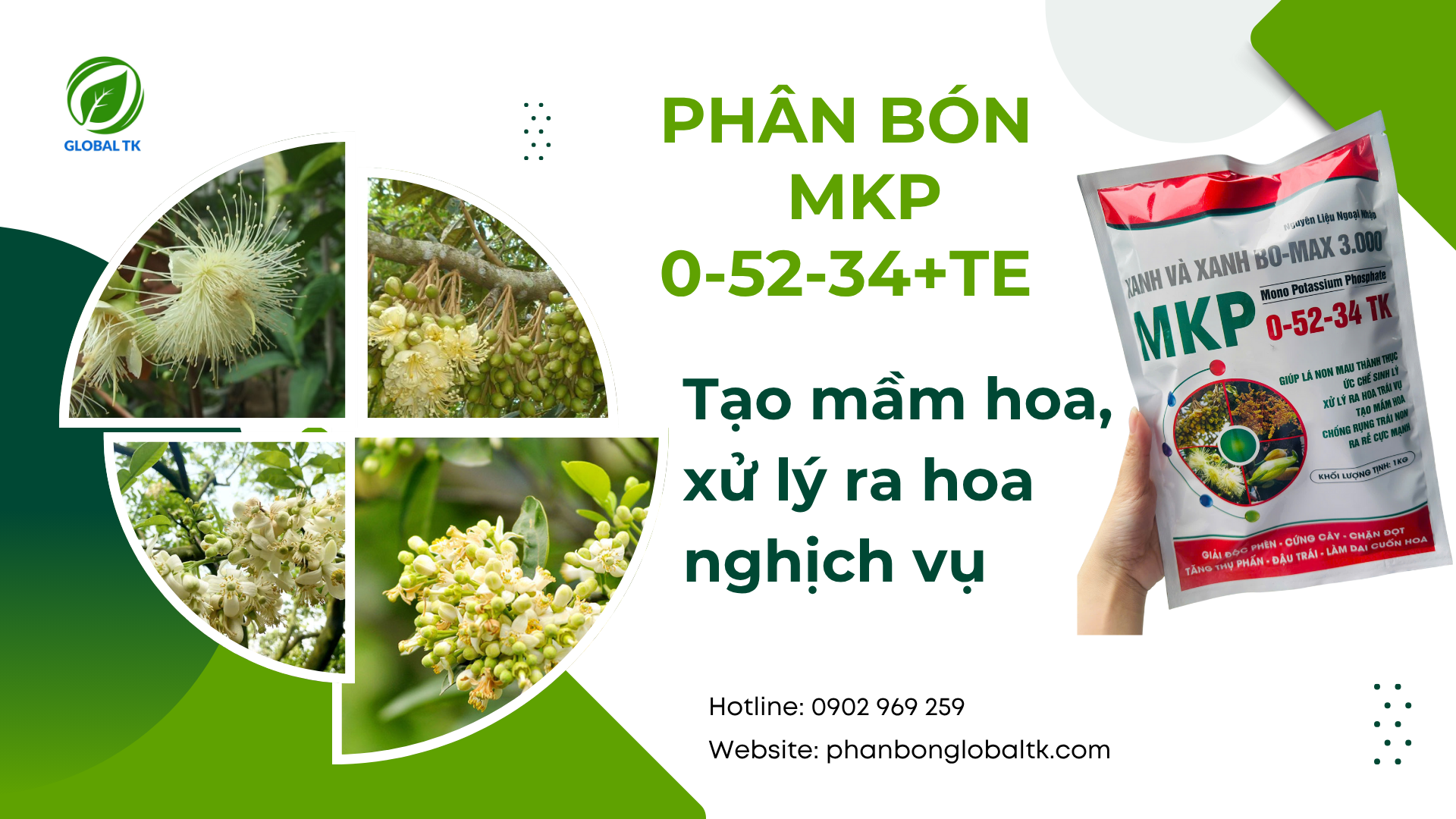Phân Bón MKP 0-52-34 + TE GLOBAL TK - Tạo Mầm Hoa, Xử Lý Ra Hoa Nghịch Vụ, Chặn Đọt, Làm Già Lá