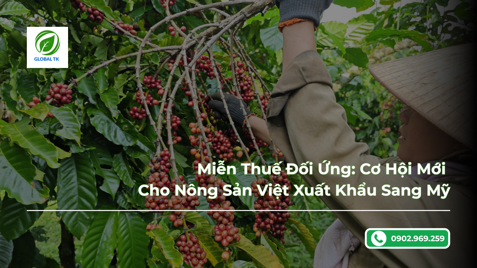 Miễn Thuế Đối Ứng: Cơ Hội Mới Cho Nông Sản Việt Xuất Khẩu Sang Mỹ