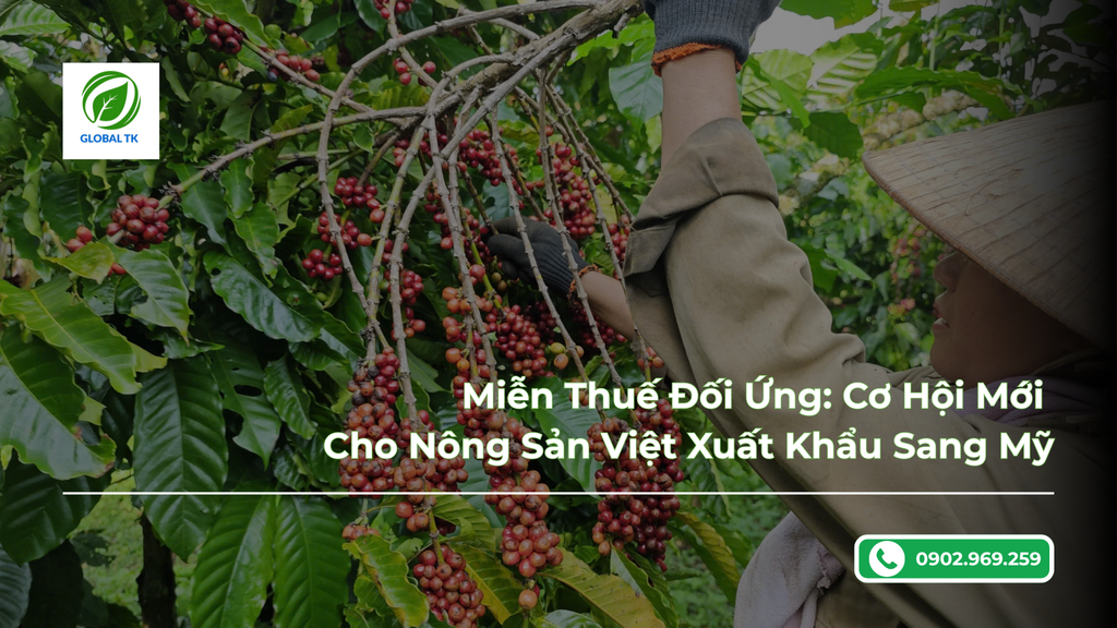 Miễn Thuế Đối Ứng: Cơ Hội Mới Cho Nông Sản Việt Xuất Khẩu Sang Mỹ