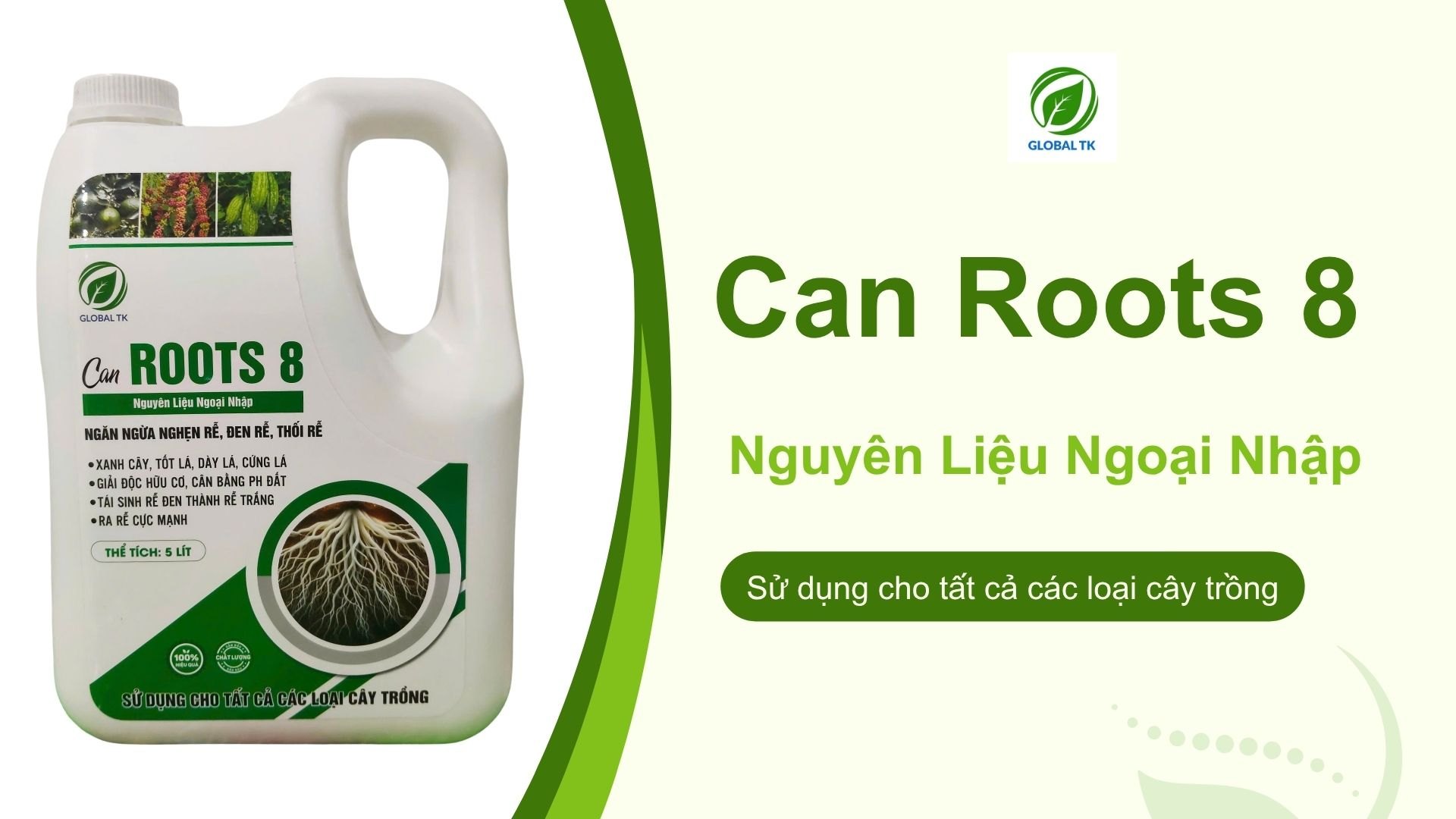 Can Roots 8 Global TK – Phân Bón Kích Rễ Cực Mạnh, Tái Sinh Rễ