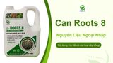 Can Roots 8 Global TK – Phân Bón Kích Rễ Cực Mạnh, Tái Sinh Rễ