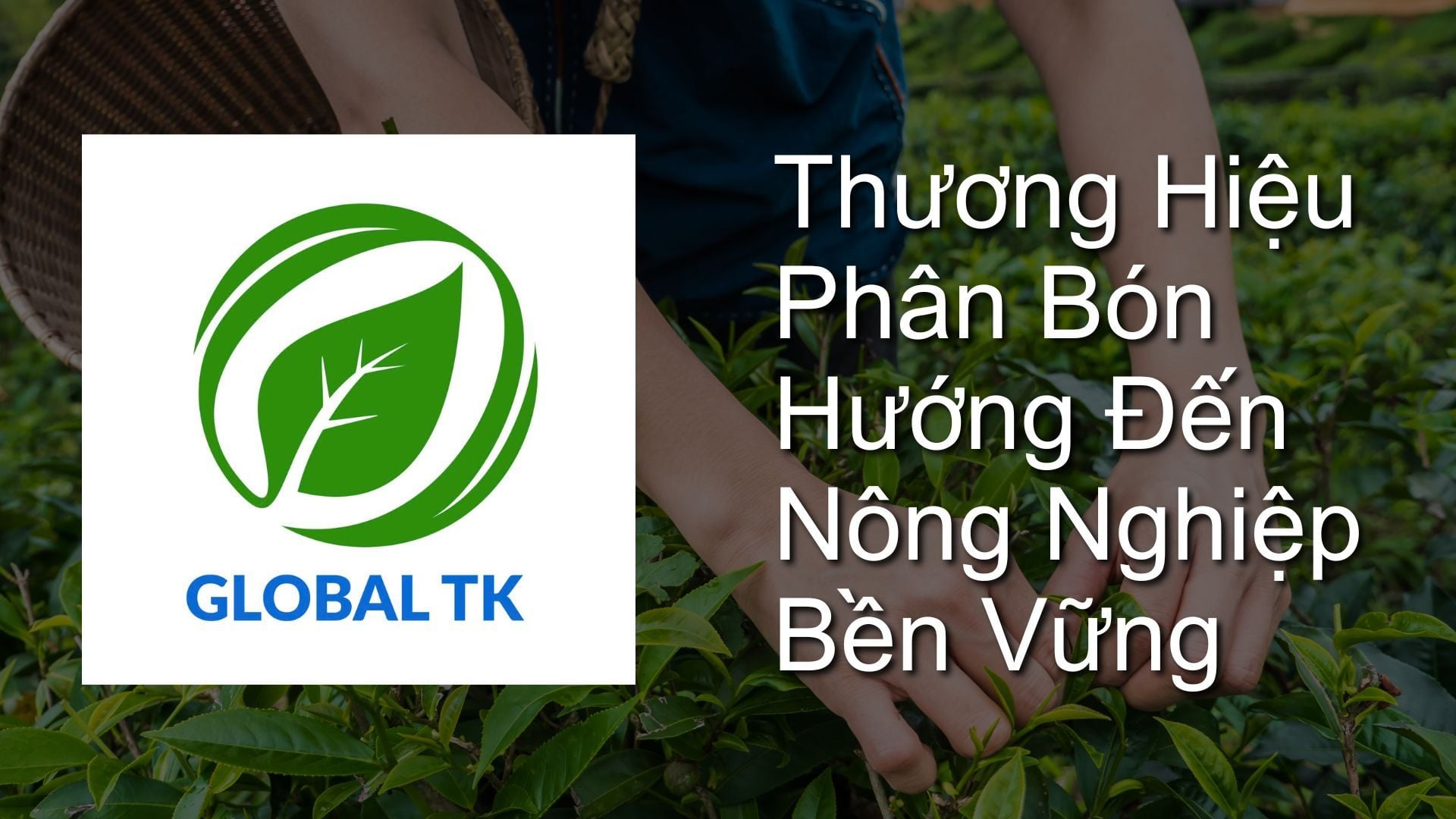 Phân Bón Global TK - Thương Hiệu Phân Bón Hướng Đến Nông Nghiệp Bền Vững