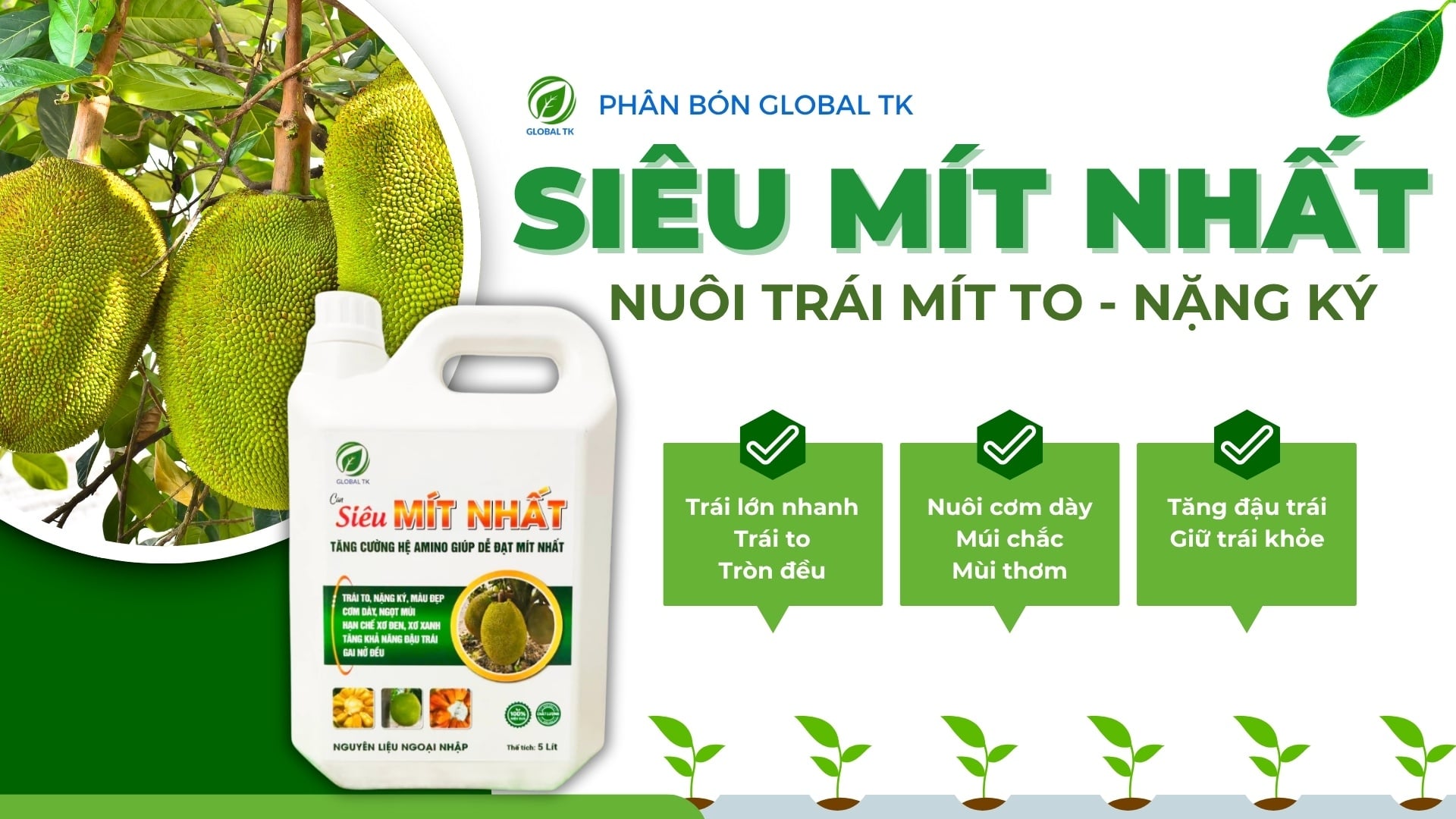Phân Bón Can SIÊU MÍT NHẤT Global TK - Nuôi Trái Mít To, Nặng Ký, Cơm Dày, Màu Đẹp